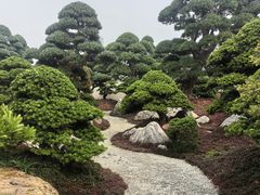 -陈村花卉小镇-花卉世界