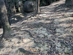 -火炉山森林公园