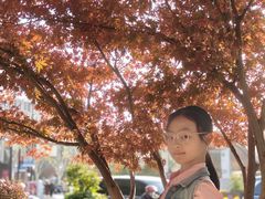 -大韩民国临时政府旧址