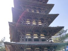 -北京世界公园