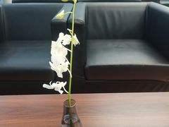 -奔驰利星行(北京花乡店)