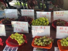 -马陆小张葡萄园农家乐