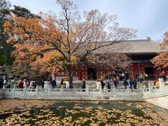 -香山公园