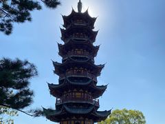 -龙华素斋(龙华路店)