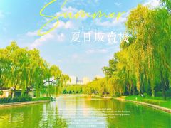 -青年湖公园水上世界