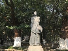 -八大山人梅湖景区