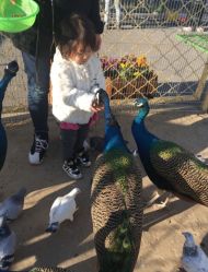 -萌宠亲子动物乐园(槐房万达店)