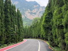 -青龙山生态文化旅游区