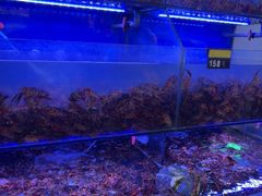 -虾铺子龙虾·私房菜(金源花苑店)