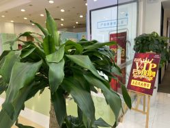 -妈妈时光机医疗产后修复(南山茂业百货店)
