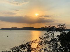 -上海市保健医疗中心