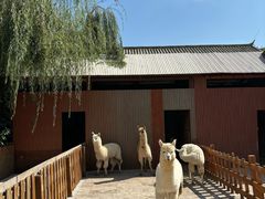 -西安凯悦酒店·湖畔中餐厅