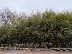 -莲花池公园