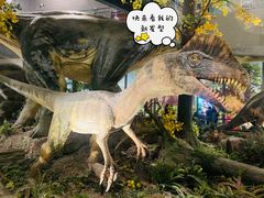 -湖南省地质博物馆