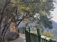 -塔云山