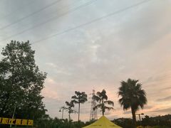 -重庆海昌加勒比海水世界