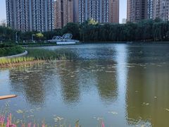 -仙女湖公园