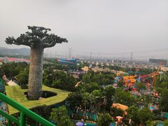 -苏州乐园森林水世界