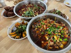 -食神又名厕所兔