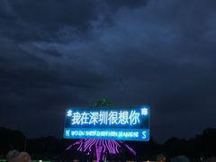 -海上田园