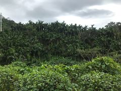 -七仙岭温泉国家森林公园