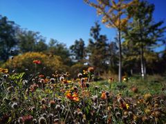 -永定河休闲森林公园
