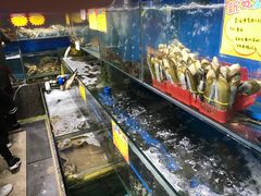 -蚝专家(北滘店)