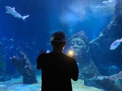 -暹罗海洋世界