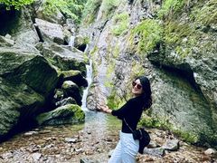 -牛背梁国家森林公园