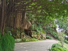 -乌山风景区