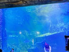 -嘉兴海底世界
