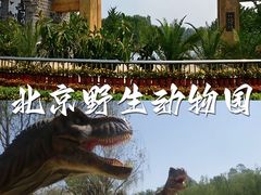-北京野生动物园