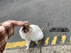 -鼓浪屿