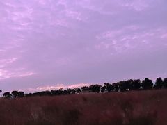 -花博汇(知音花月夜)