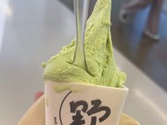 -野人先生现做冰淇淋(北京王府井东方新天地店)
