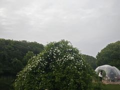 -艾溪湖湿地公园