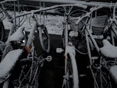 -东北农业大学