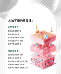点击看大图 -玛莲朵·海菲秀冰珀科