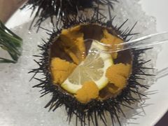 -日月昇渔家菜·海肠捞饭·大连海鲜(星海公园店)