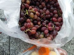 -细村农贸综合市场(沿江路店)