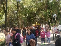 -富乐山