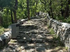 -阳台山自然风景区