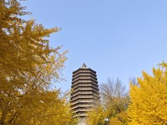 -玲珑塔公园