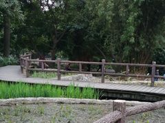 -成都市活水公园