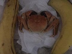 -CoCo都可(西安路民勇店)