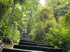 -缙云山景区
