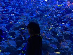 -成都浩海立方海洋公园