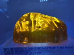 -侏罗纪世界电影特展(广州站)