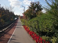 -上海长兴岛郊野公园