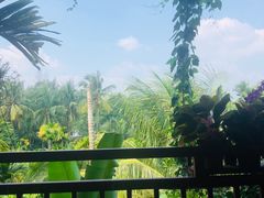 -万兴启丰椰子文化园餐厅